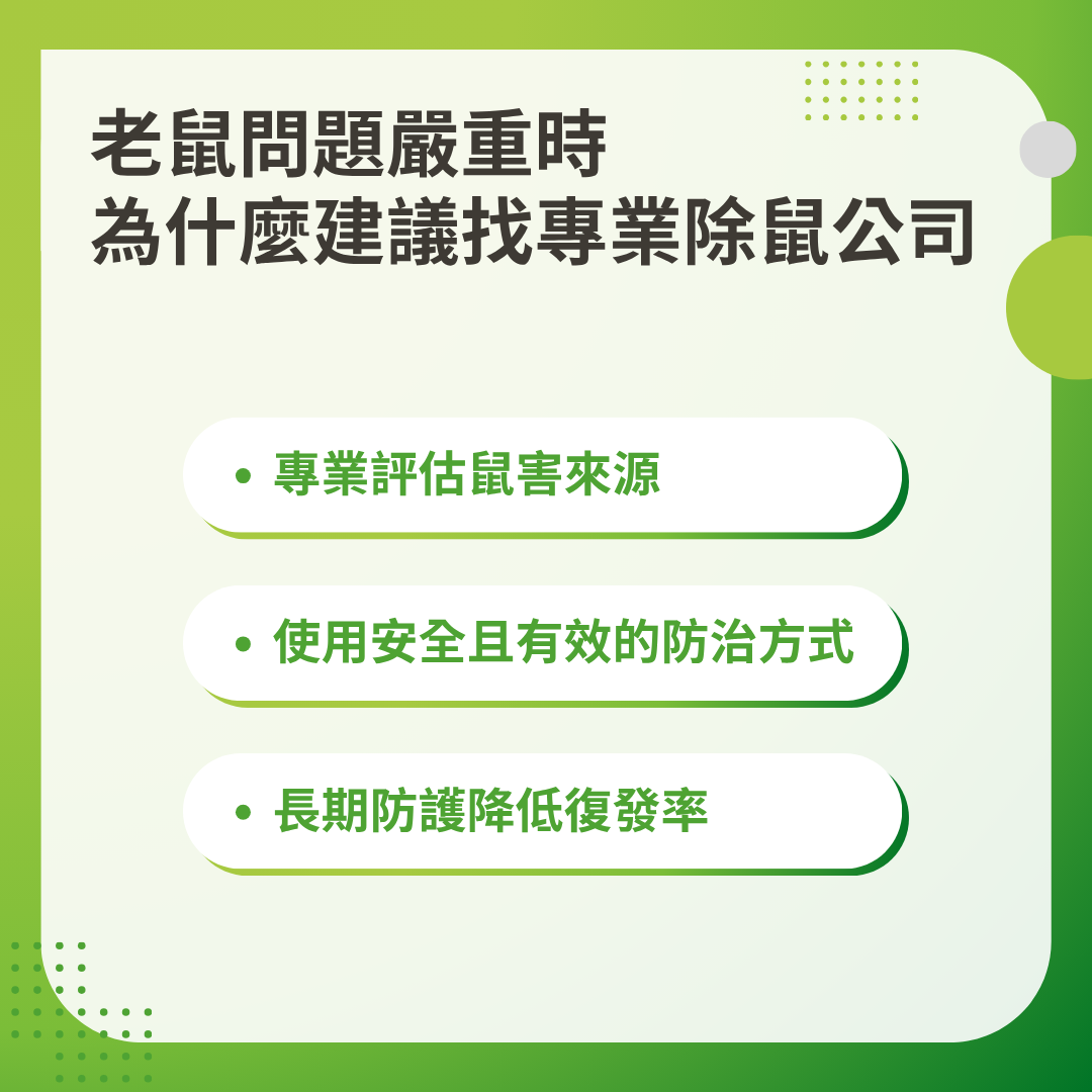 專業滅鼠公司