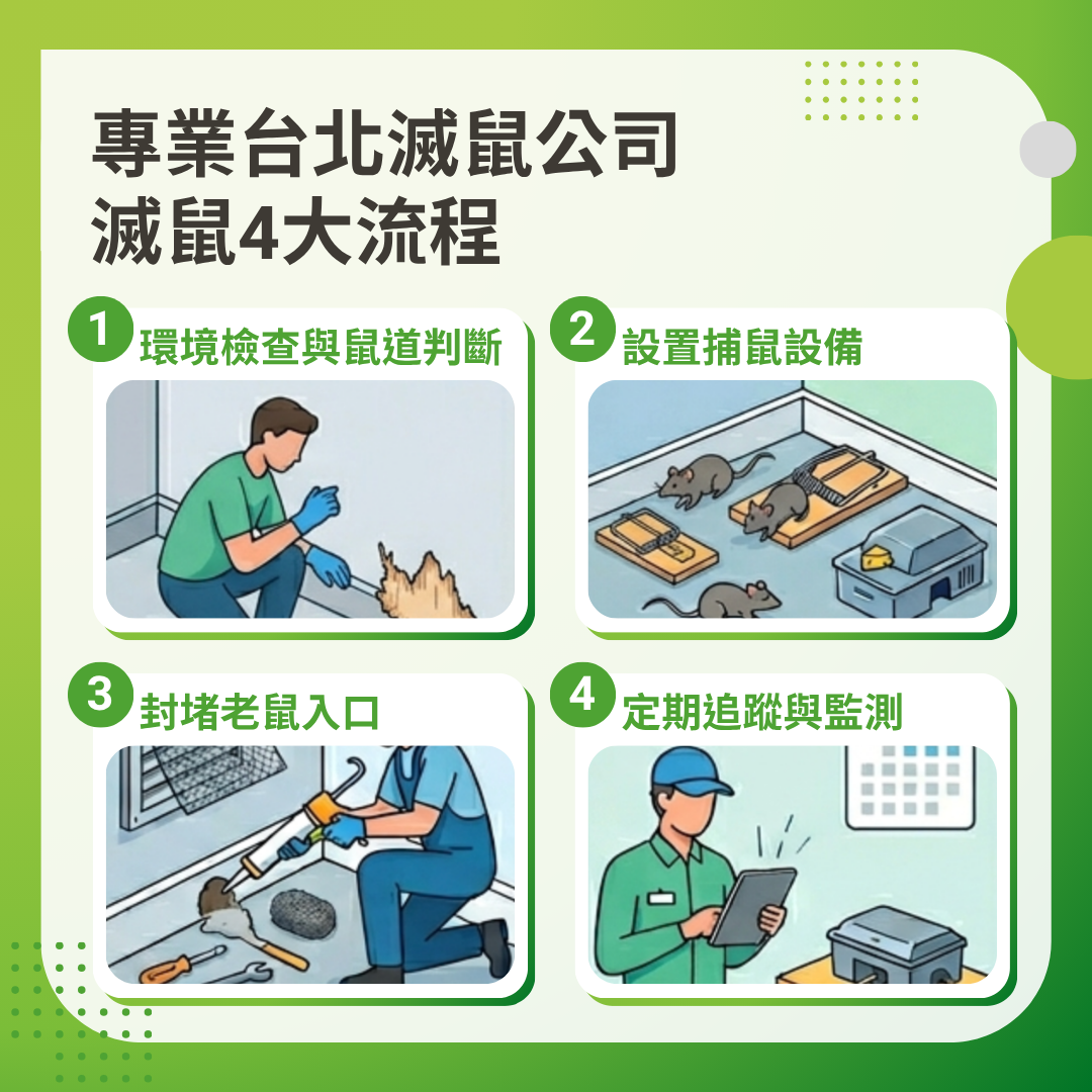 專業台北滅鼠公司滅鼠流程